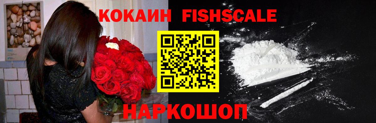 COCAIN Fish Scale  КОКАИН Fish Scale  Вход с VPN  Гай 