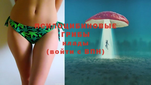 крисы Балахна