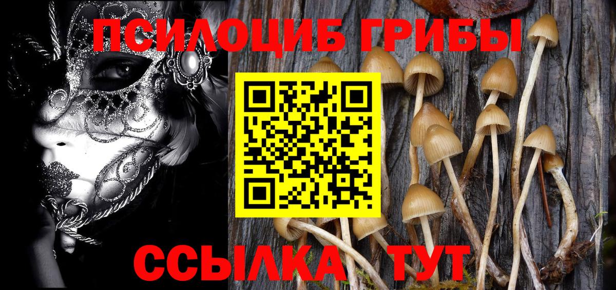 Гай  Псилоцибиновые грибы мицелий  Вход с VPN 
