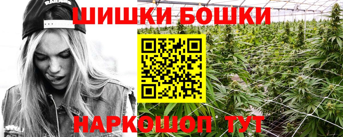 Конопля планчик Гай